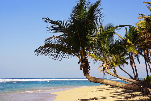 Пунта Кана- Доминиканска република- Най-посещаваните за почивка градове по света